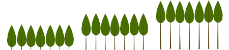 Images of tree plantation