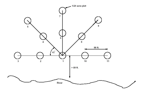 Diagram as a figure